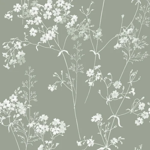 decoratingsuppliesdirect202605051009182475757