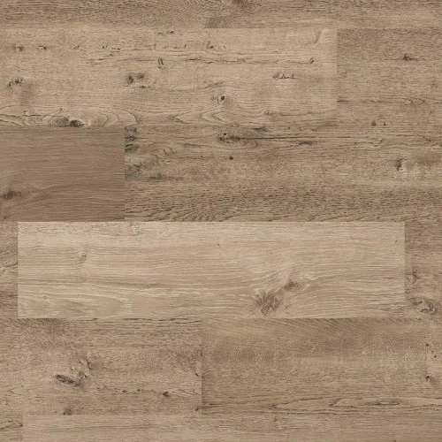decoratingsuppliesdirect202605051009322475871
