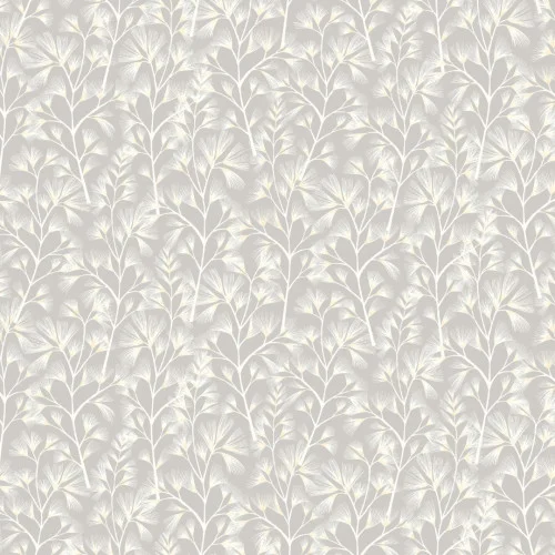 decoratingsuppliesdirect202605051010592476480