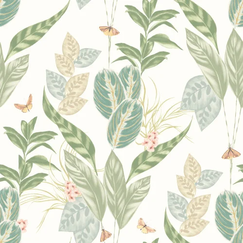 decoratingsuppliesdirect202605051011422476787